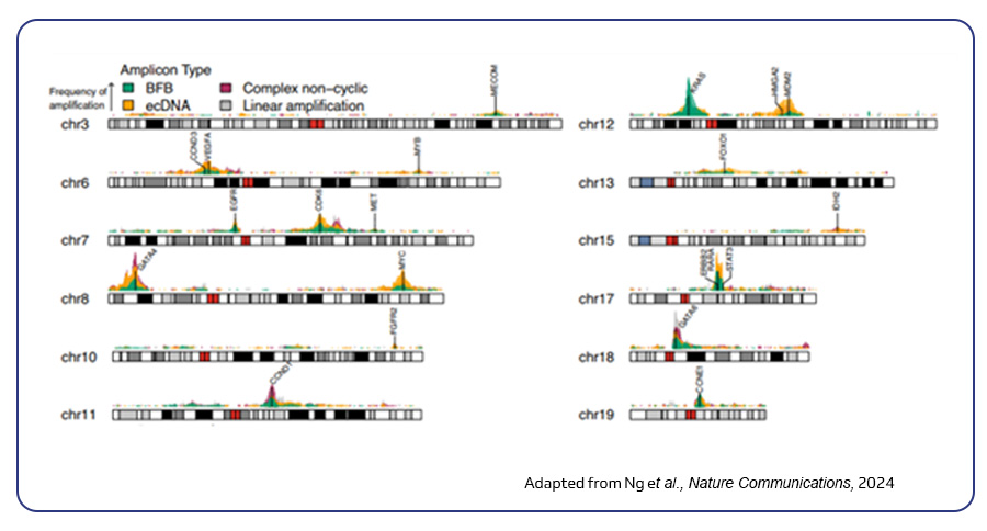 Frequency of amplified genomic regions in esophageal adenocarcinoma