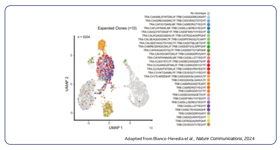 UMAP analysis of peripheral blood TCR clonotypes