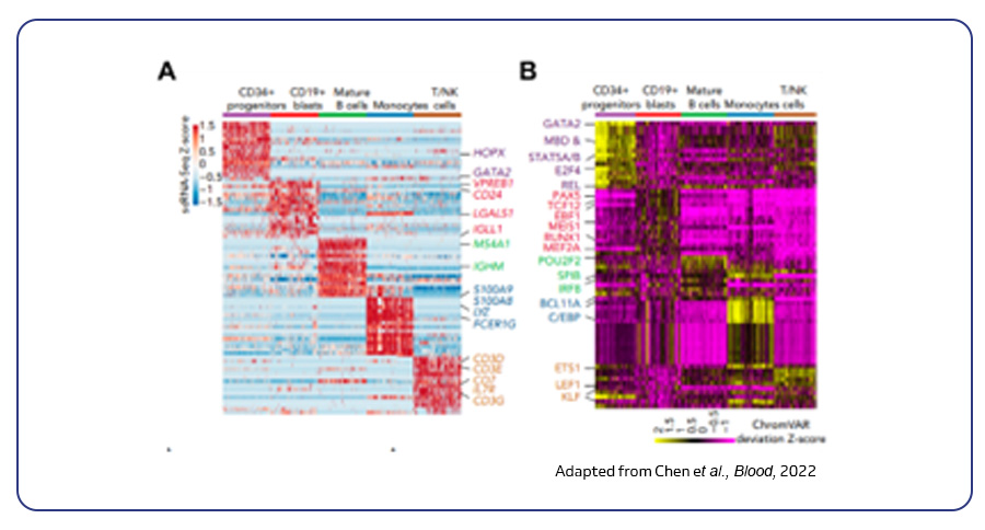 Heatmap