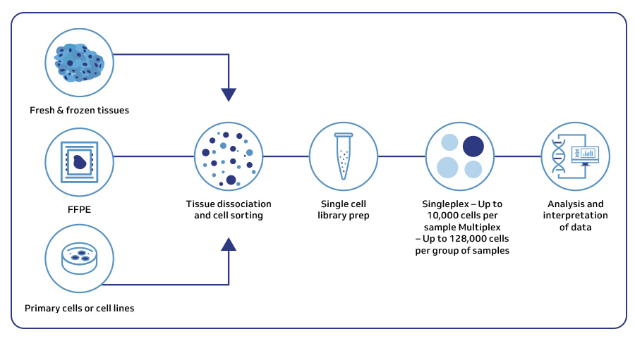 General workflow for single-cell sequencing analysis