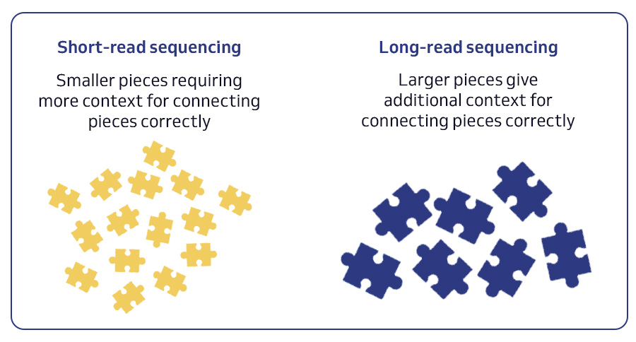 Short and long read sequencing