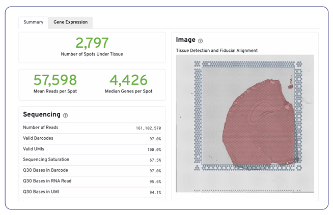 Example summary report from Space Ranger