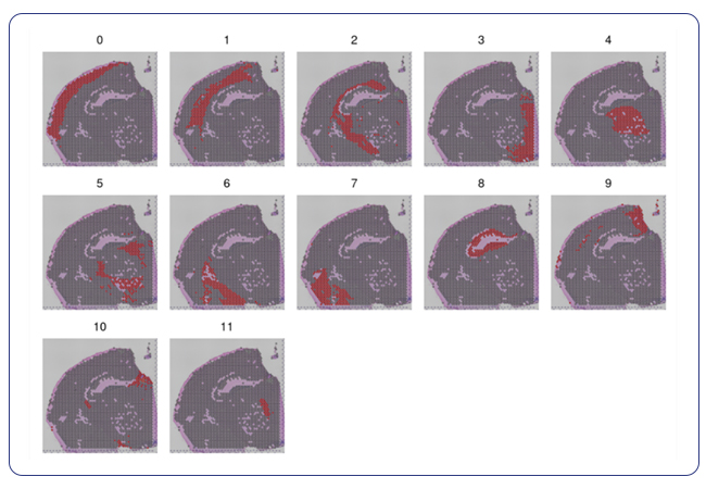 Spatial localization of individual clusters