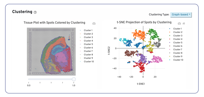 Example tissue plot and t-SNE projection of spots by clustering