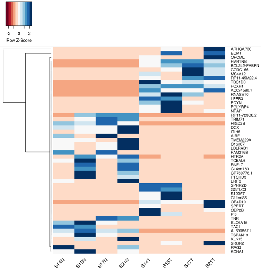 Heat map of RNA-seq analysis