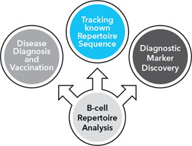 Major Applications of BCR Repertoire Profiling