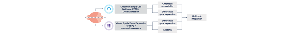 Multiomic integration from single brain