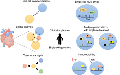 An overview of single-cell genomics for understanding disease etiology