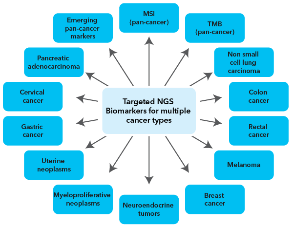 Targeted NGS Biomarkers for multiple cancer type