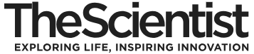The Scientist - News