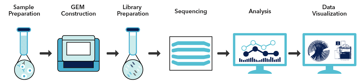 Single Cell Sequencing Services flow chart