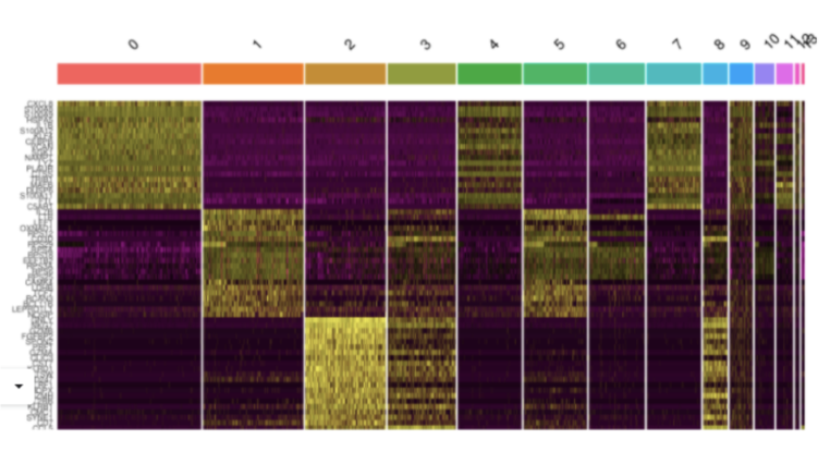 Digital gene expression and heatmap visualization