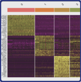 Digital gene expression and heatmap visualization