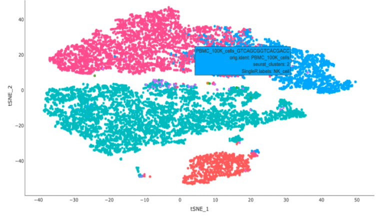 Interactive tSNE plots with cell type and cluster information