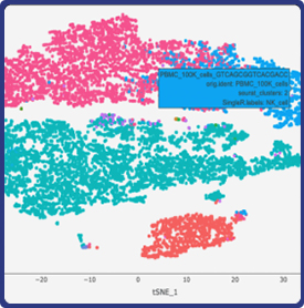 Interactive tSNE plots with cell type and cluster information