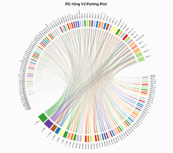 VJ Pairing Circos Plot