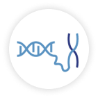 Hi-C Chromatin Mapping