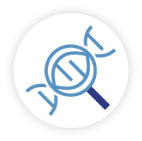 Illumina Short-Read Sequencing