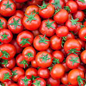 CRISPR Technology: Innovations in Tomato Research