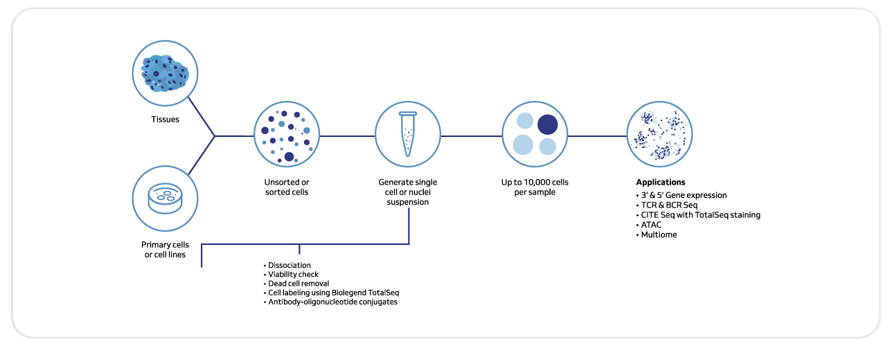 Fresh/cryopreserved samples with viable cells