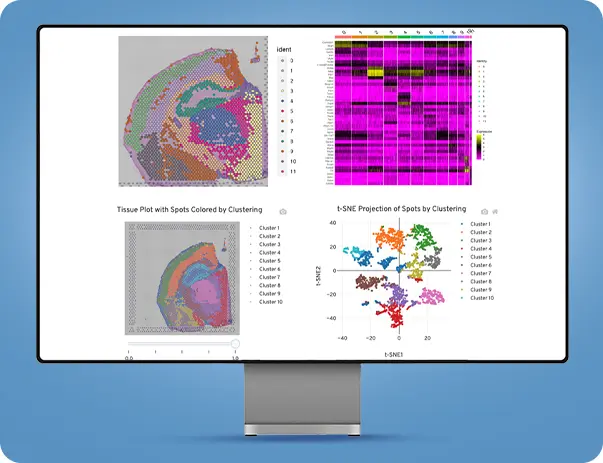 MedGenome Spatial Reports