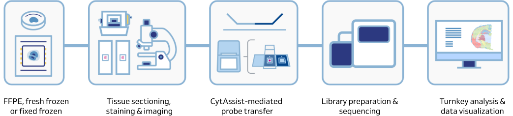 Spatial transcriptomics workflow at MedGenome