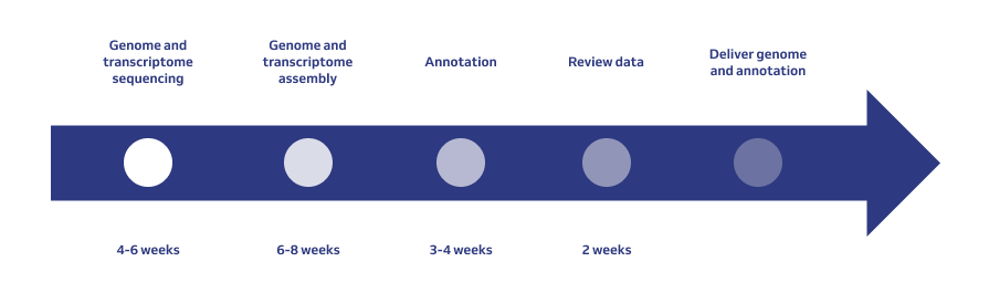 MedGenome Computational Workflows