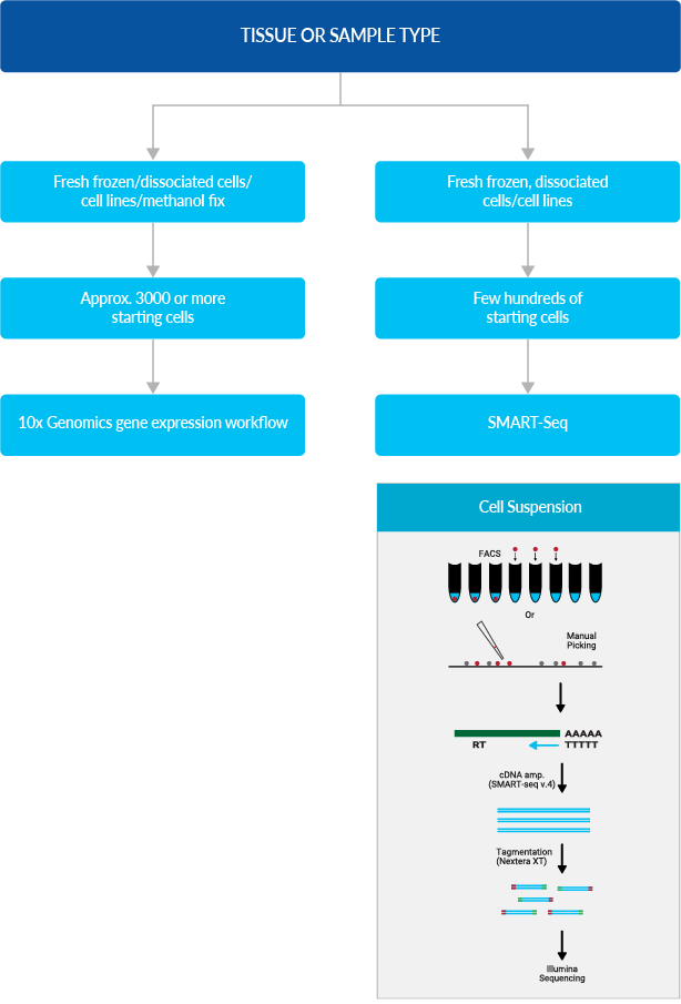 single-cell-gene-expression-analysis-medgenome